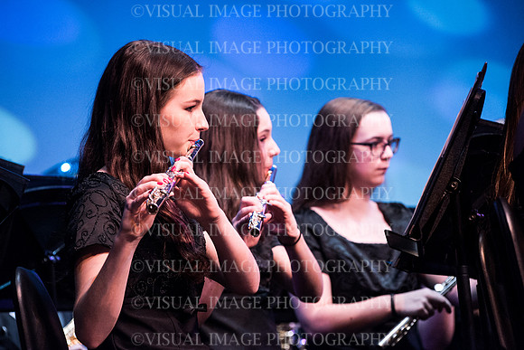 ssvhs wntr arts fst-16