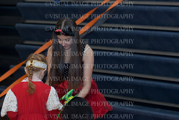 SVHS_028