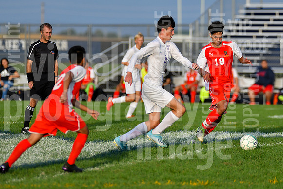sps_0037_1290853