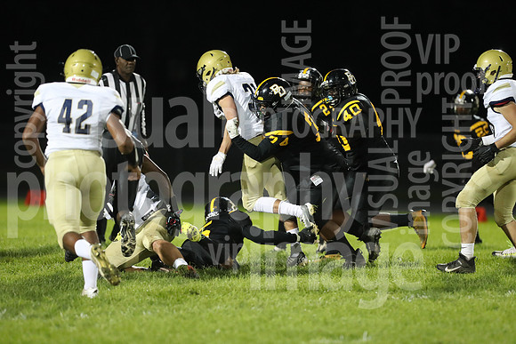 BDHS_035