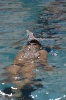 PLPN21_SW_008