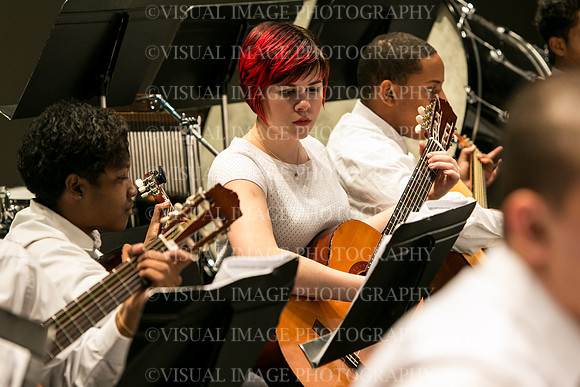 HWFM-Guitar_0019