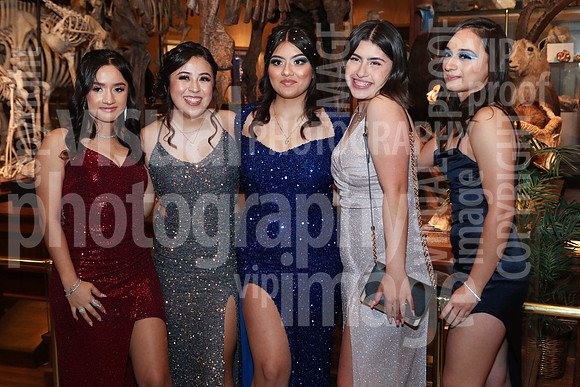 sps_0067_1008960168