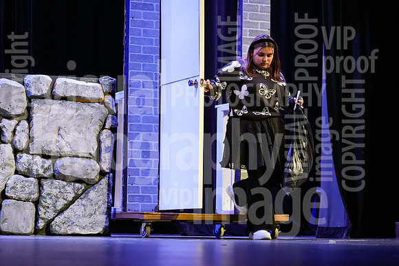 sps_0039_1012216613