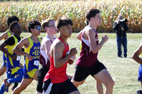LTHS24_XC_019