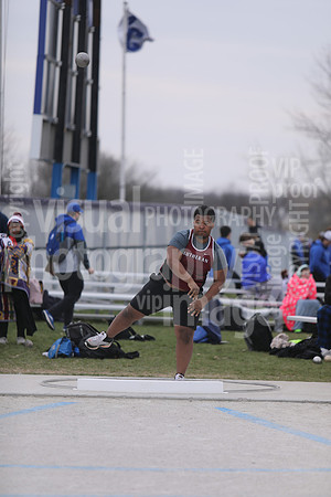 sps_0042_1008930106