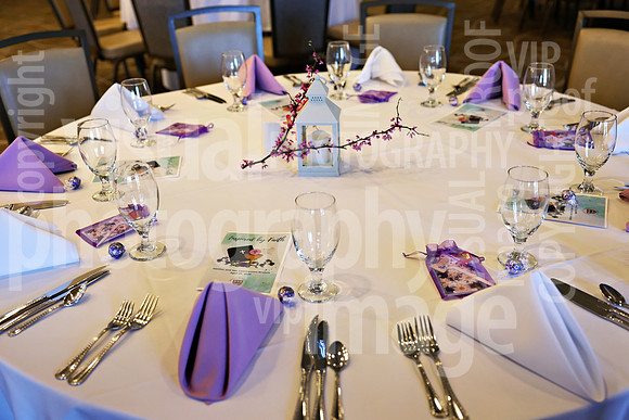 sps_0008_1036401294
