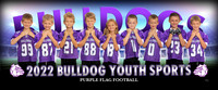 purpleflag2