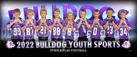 purpleflag2
