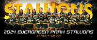 varsitycheer-ng_