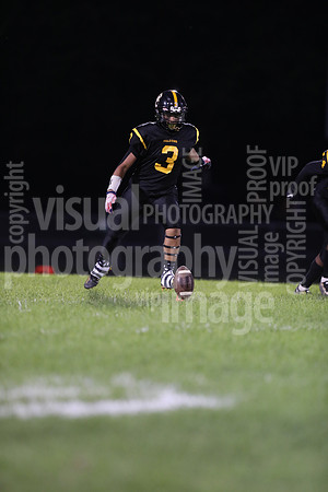 BDHS_015