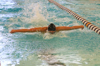 Girls Swimming & Diving