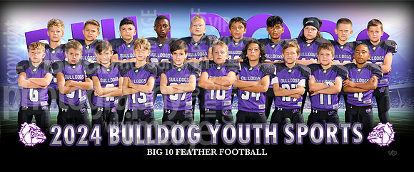 big10feather2