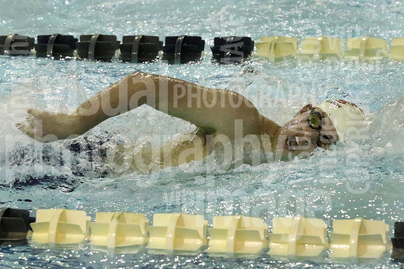 sps_0034_1008229201