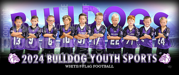 flagwhite7