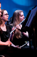 ssvhs wntr arts fst-18