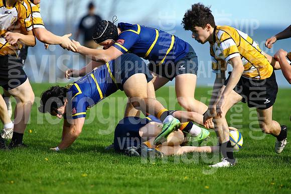 sps_1074_1036795083