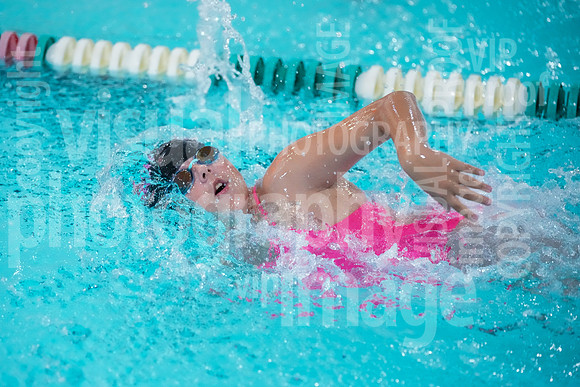 sps_0051_1010776541