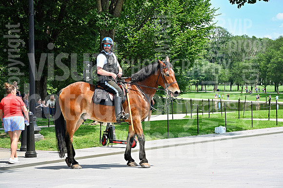 sps_2609_1044045113