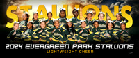 lightweightcheer-ng_