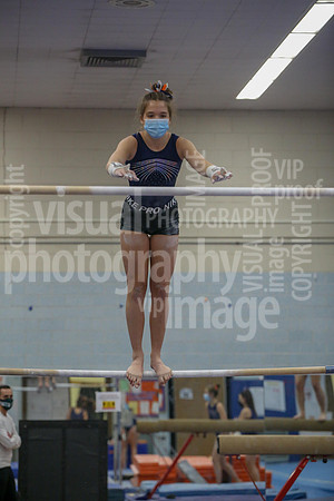 sps_0031_1008208264