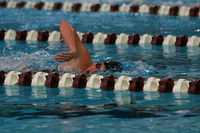 Girls Swimming & Diving 24