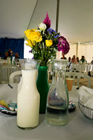 sps_0004_1044456690