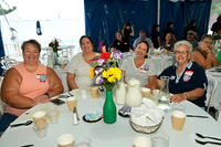 sps_0008_1044456697