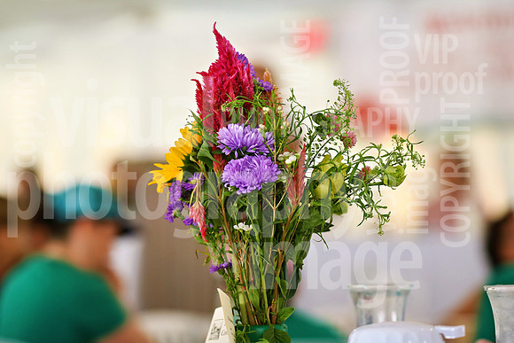 sps_0068_1044457152