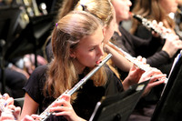 IMG_0005 (1)