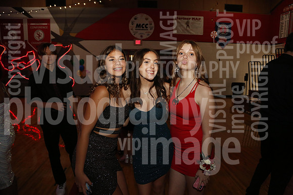 sps_0034_1011025083