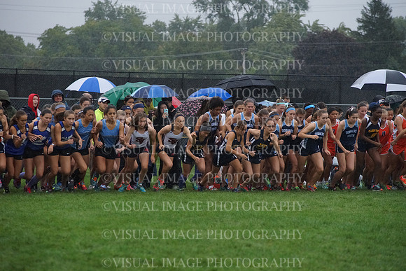 SVHS_032