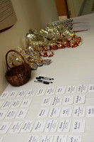 DSHA_008