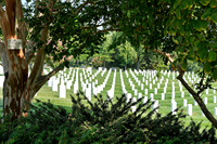 sps_0415_1046805974