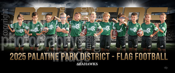 12seahavks-b