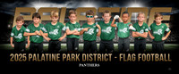 12panthers-b