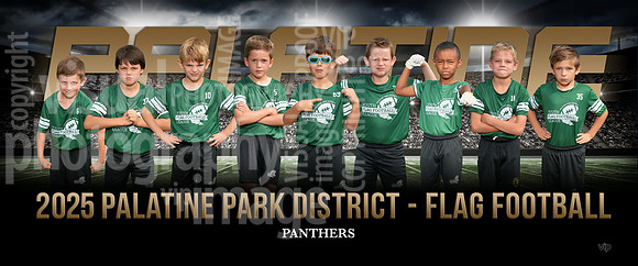 12panthers-b