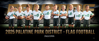 12falcons