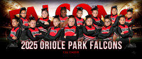 12ucheer