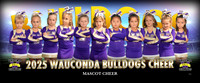 mascotcheer