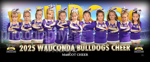 mascotcheer