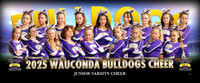 jvcheer