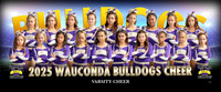 varsitycheer
