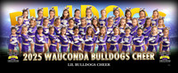 lilbulldogs