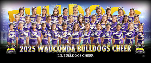 lilbulldogs