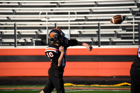 sps_0013_1011266450