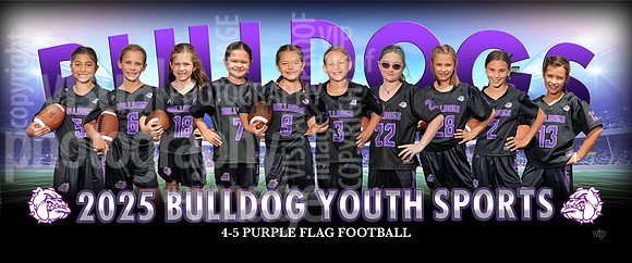 4-5GirlsFlagPurple
