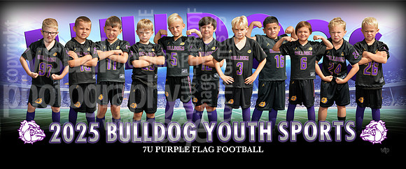 7uflagpurplekirk-b