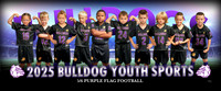 56flagpurple-b