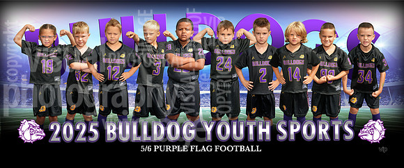 56flagpurple-b